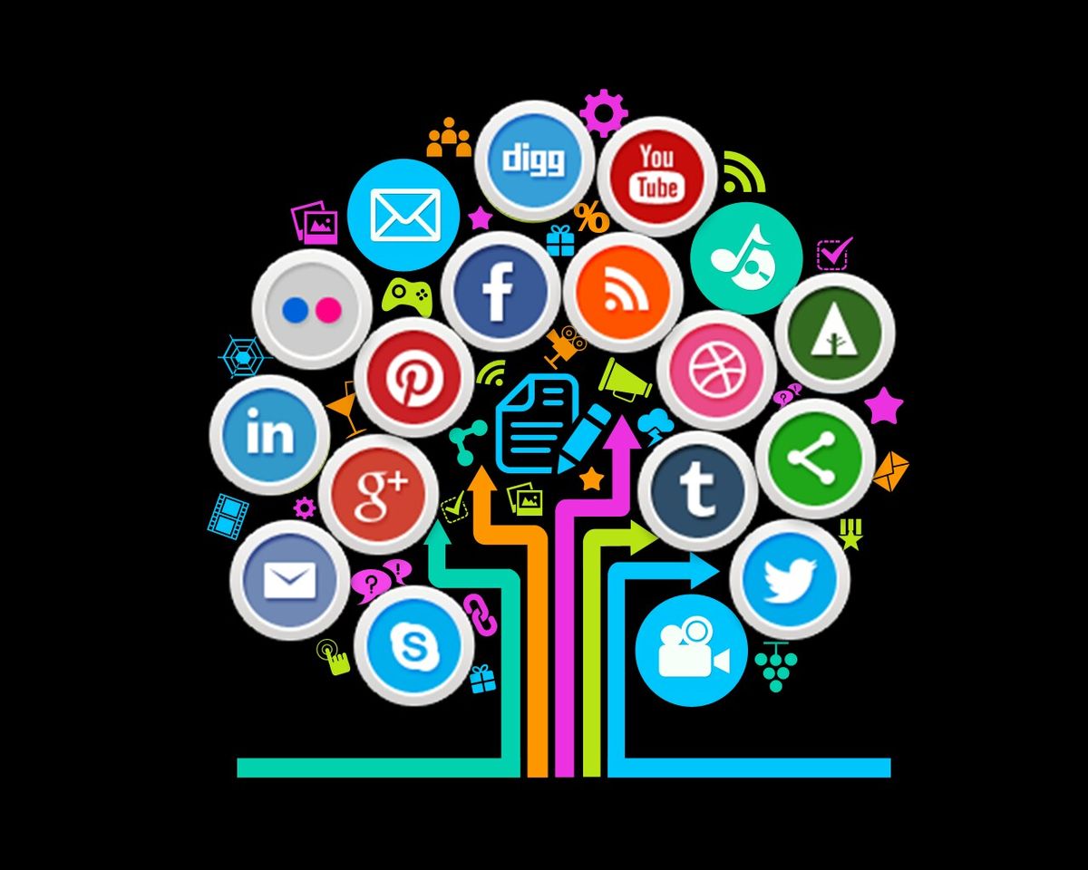 Social Media Marketing Expertise